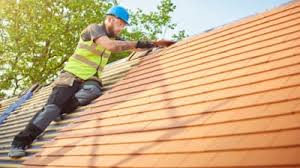 Best Roof Moss and Algae Removal  in Yale, MI