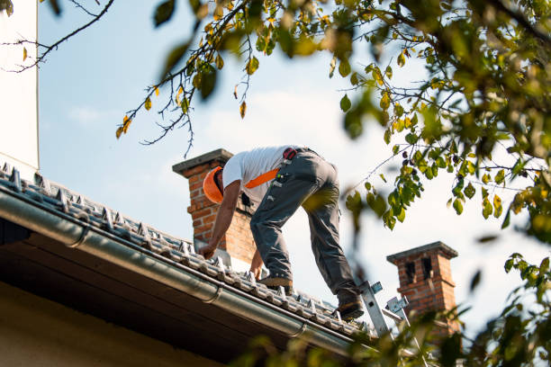 Best Roof Installation  in Yale, MI