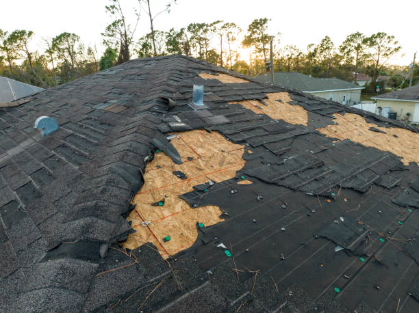 Best Solar Panel Roofing Installation  in Yale, MI